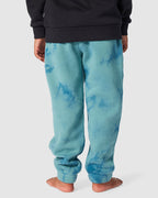 Boys 8-16 Energy Track Pants