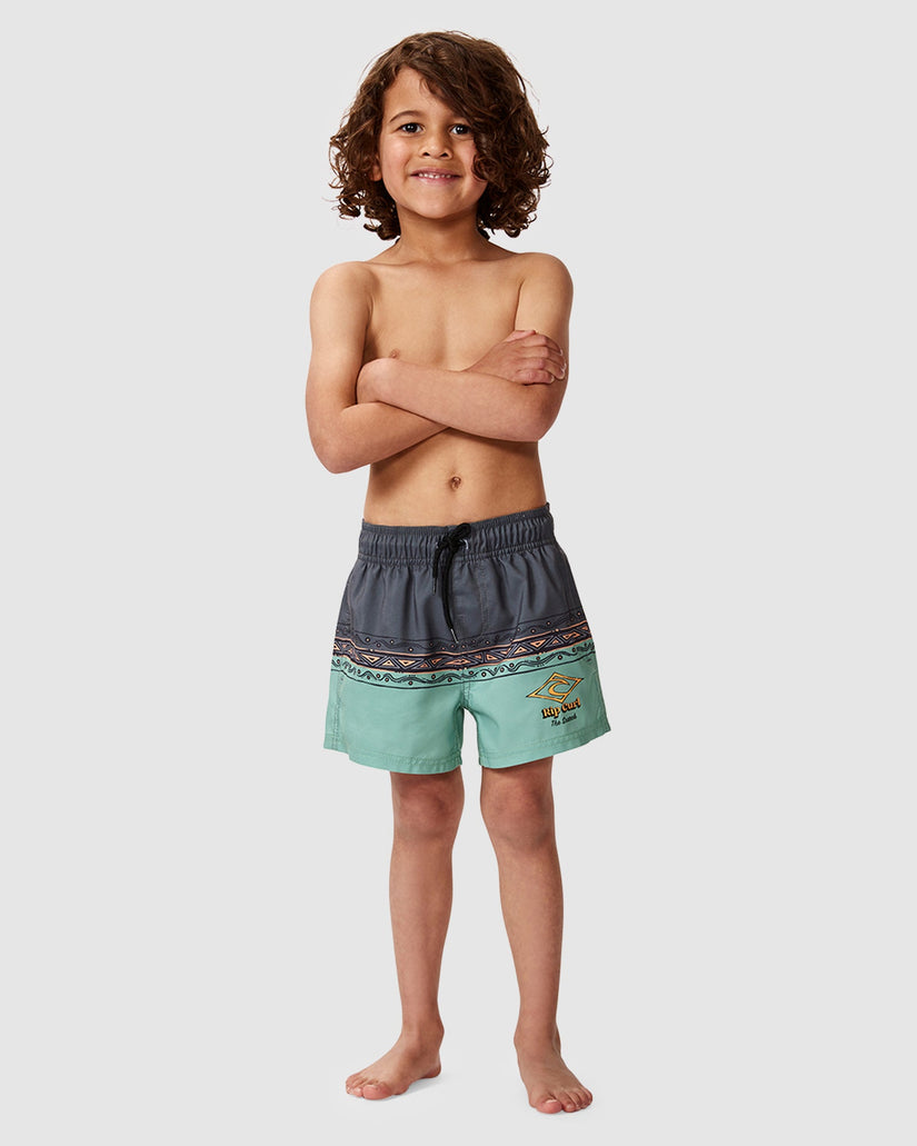 Boys 2-7 Shred Town Volley Boardshorts