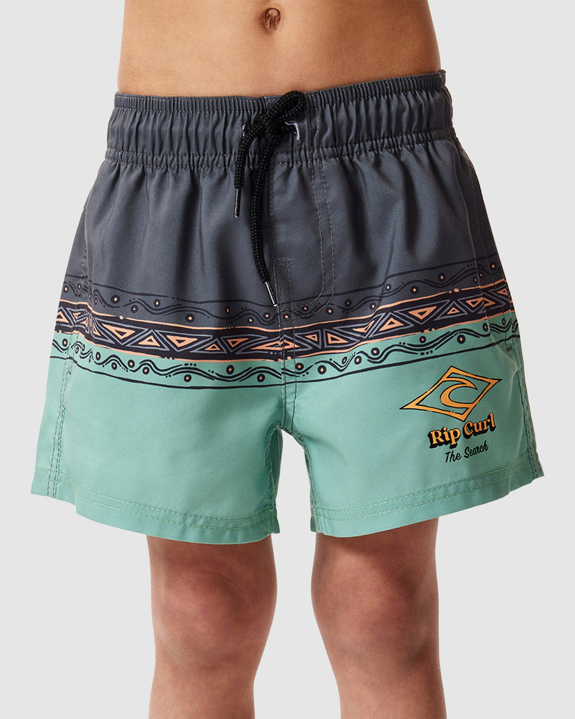 Boys 2-7 Shred Town Volley Boardshorts