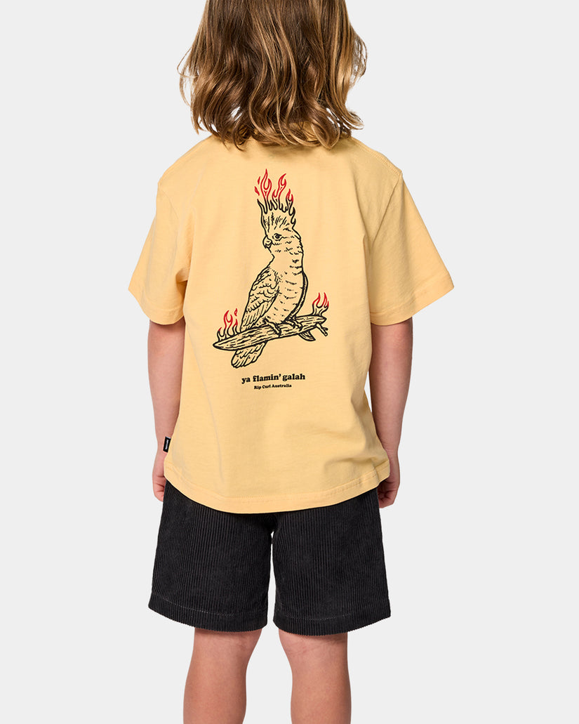 Boys 2-7 Flamin Galah T-Shirt
