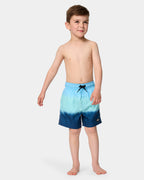 Boys 2-7 Dip Volley Boardshorts