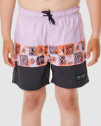 Boys 8-16 Pure Puff Block Volley Boardshorts