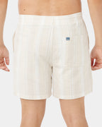 Mens Mod Cali Stripe Volley 17" Walkshorts