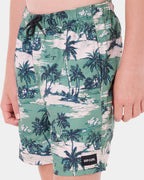 Boys 8-16 Dreamers Volley Boardshorts