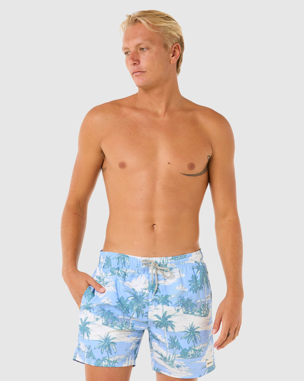 Mens Dreamers Volley Boardshorts
