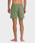 Mens VA Pigment 16" Boardshorts
