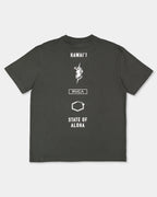 Mens Hawaii Squadron T-Shirt