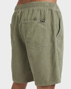 Mens Larry Cord 18" Walkshorts