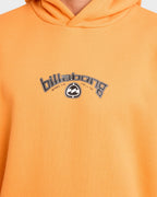 Mens Spec Bio Arch Pullover Hoodie