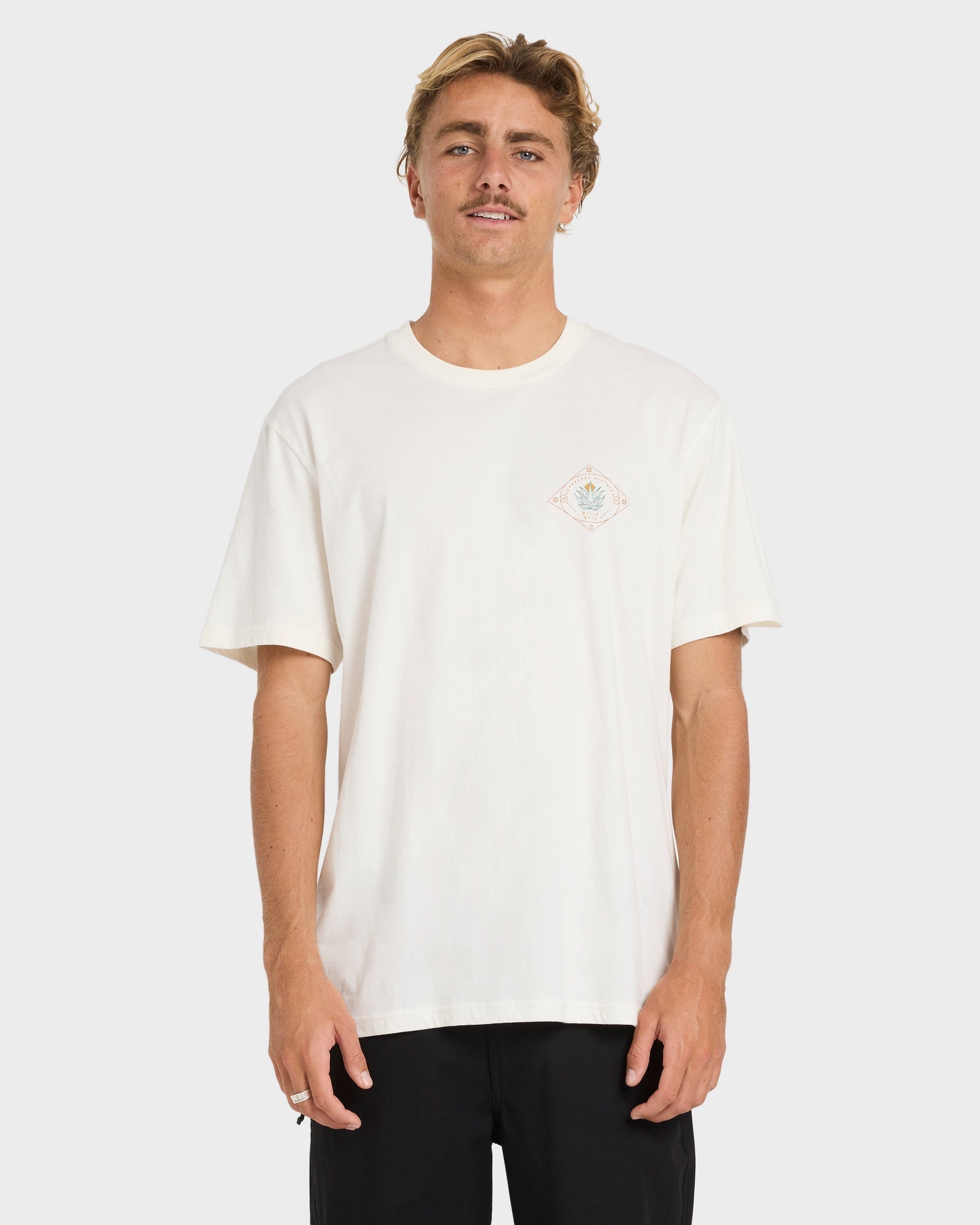 Buy Mens Agave Adiv Premium Fit T-Shirt by Billabong | Amazon Surf NZ