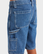 Boys 8-16 Bad Dog Walkshorts
