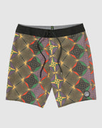Mens Interwebz Stoney 19" Boardshorts