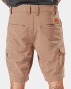 Mens Slab 20" Hybrid Shorts