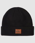 Mens Performer 2 Beanie