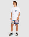 Boys 8-16 Mix Pack Trunk 12