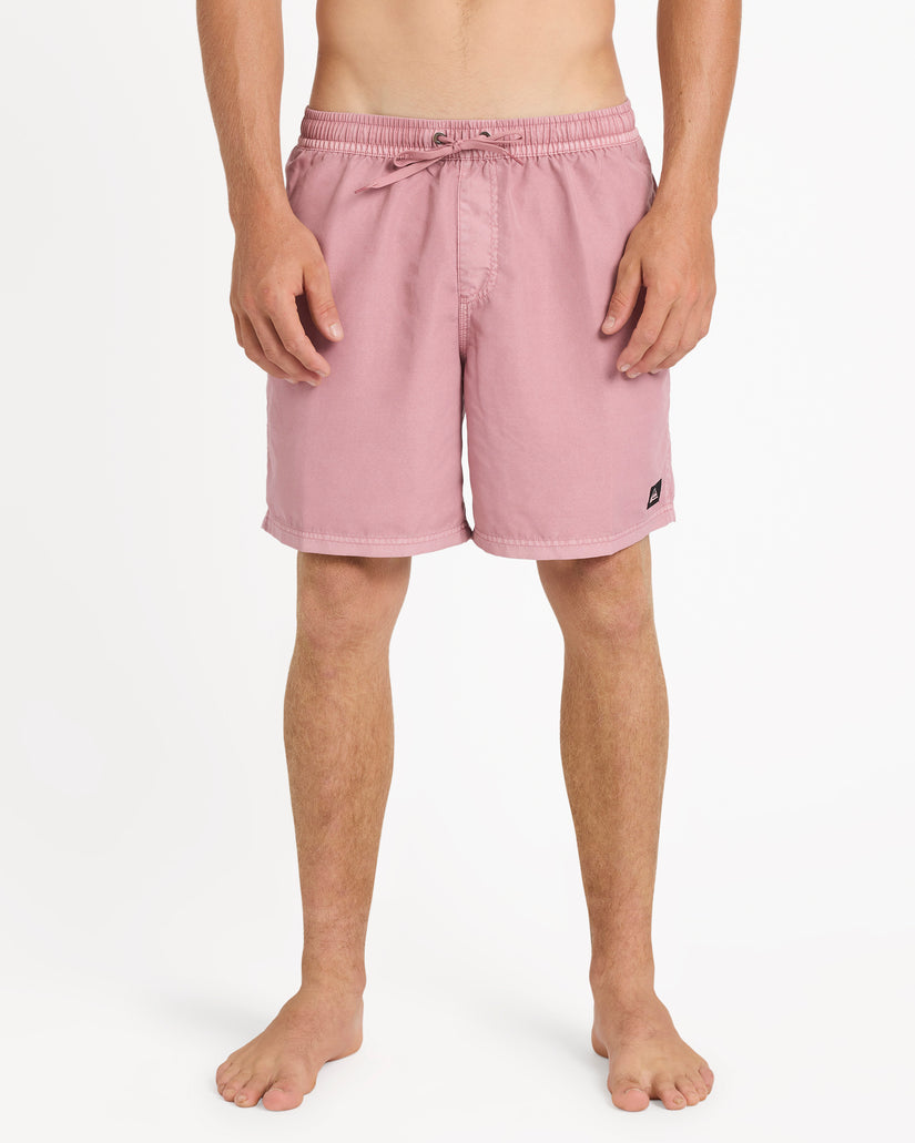 Mens Everyday Surfwash 17" Swim Shorts