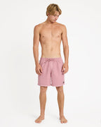Mens Everyday Surfwash 17" Swim Shorts