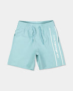 Boys 2-7 Everyday Vert 13" Swim Shorts