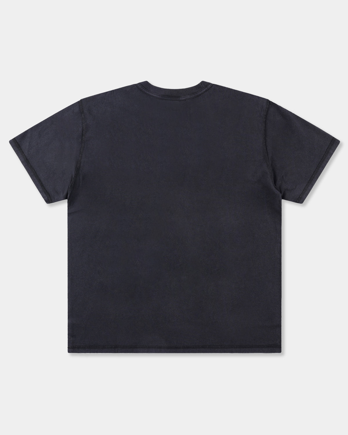Mens Praise T-Shirt