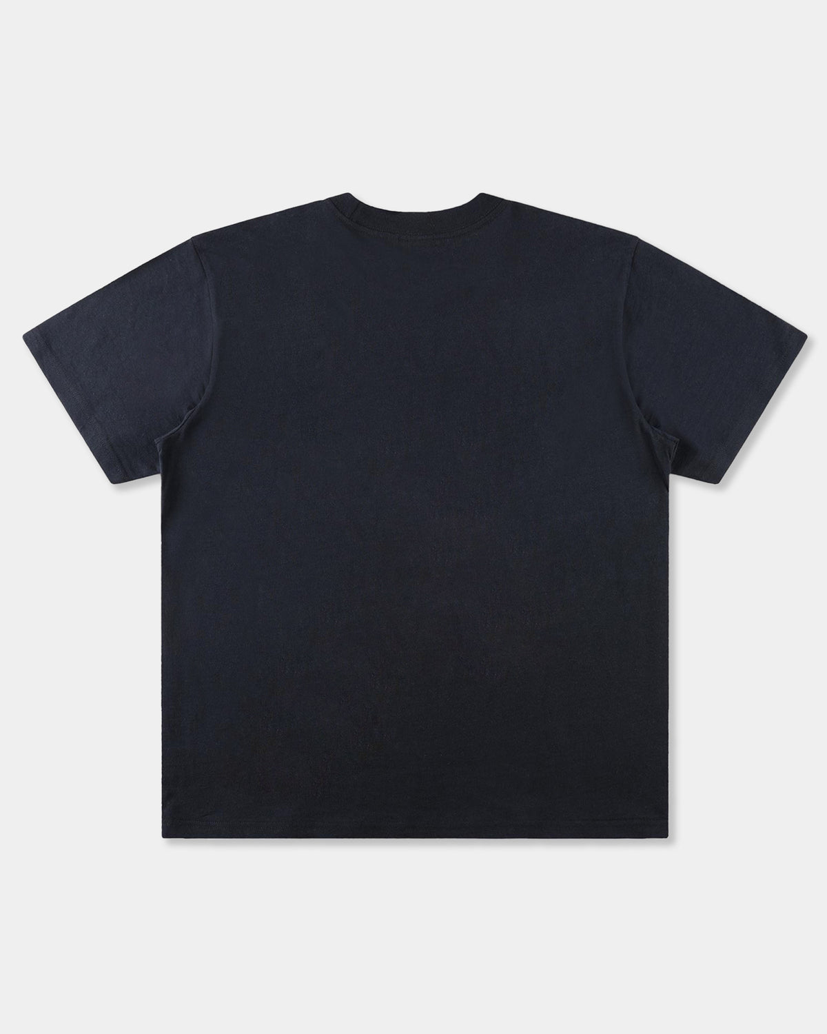 Mens Establish T-Shirt