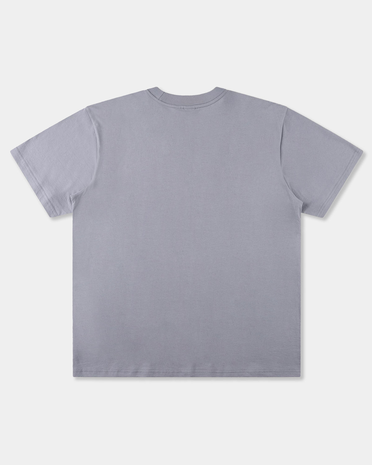Mens Establish T-Shirt