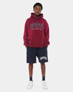 MENS BLOCK RINGS PULLOVER HOODIE