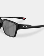 Briza Polarized Sunglasses