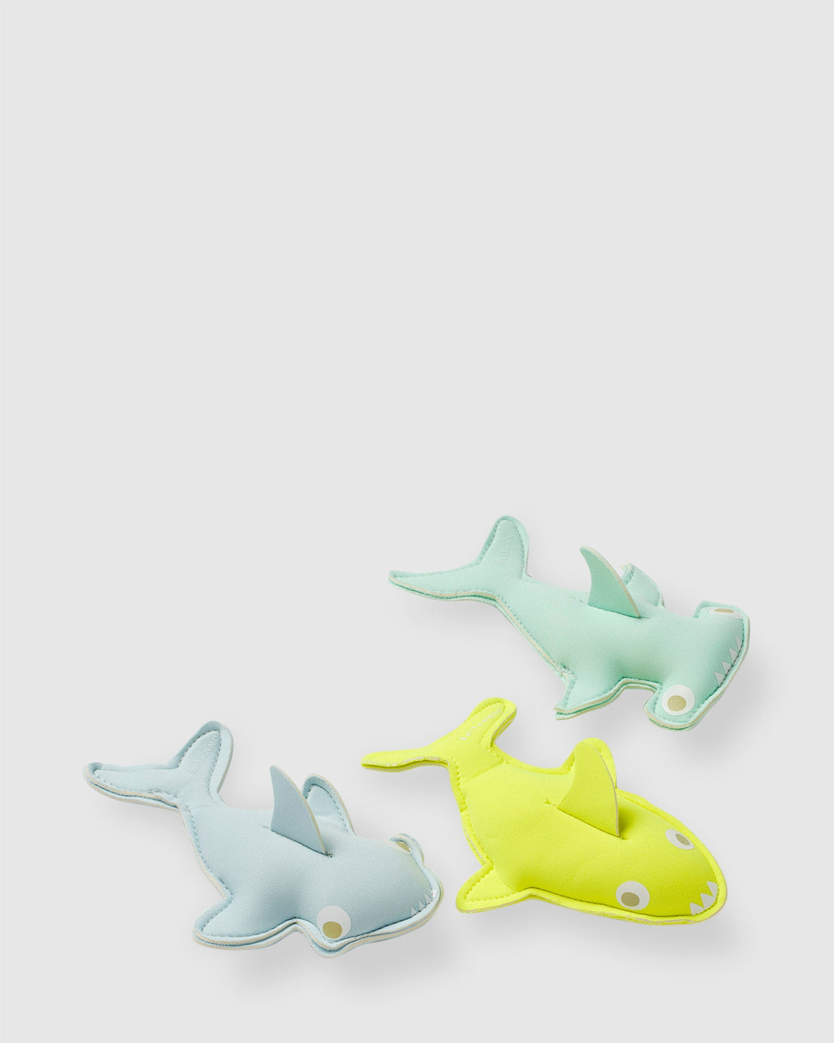 Salty The Shark Dive Buddies