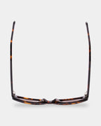 Aura Sunglasses