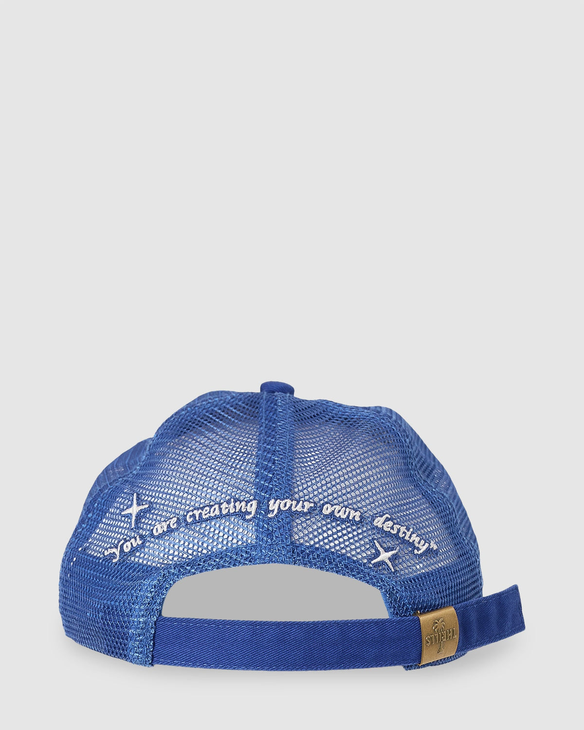 Mens Your Own Destiny Trucker Cap