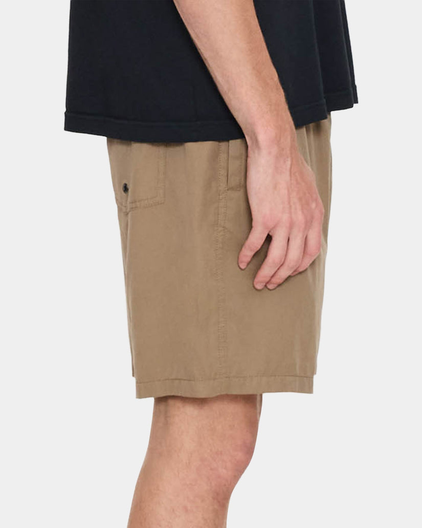 Mens Thrills Forever Volley Walkshorts