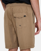 Mens Thrills Forever Volley Walkshorts