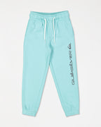Boys 2-7 Screen Track Pants