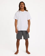 Mens All Day Overdyed Layback 17" Boardshorts