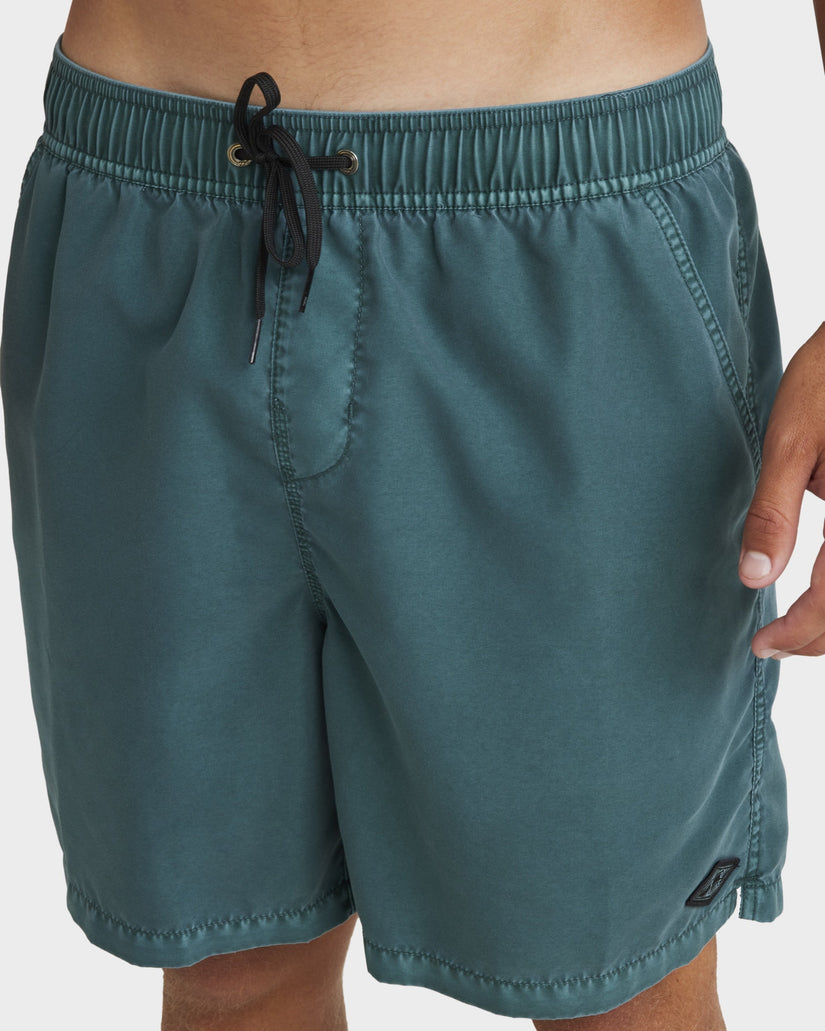 Mens All Day Overdye Layback 17" Boardshorts