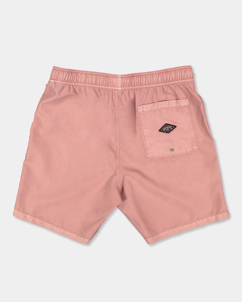 Mens All Day Overdye Layback 17" Boardshorts