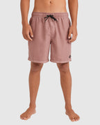 Mens All Day Overdye Layback 17" Boardshorts