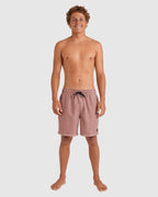 Mens All Day Overdye Layback 17" Boardshorts