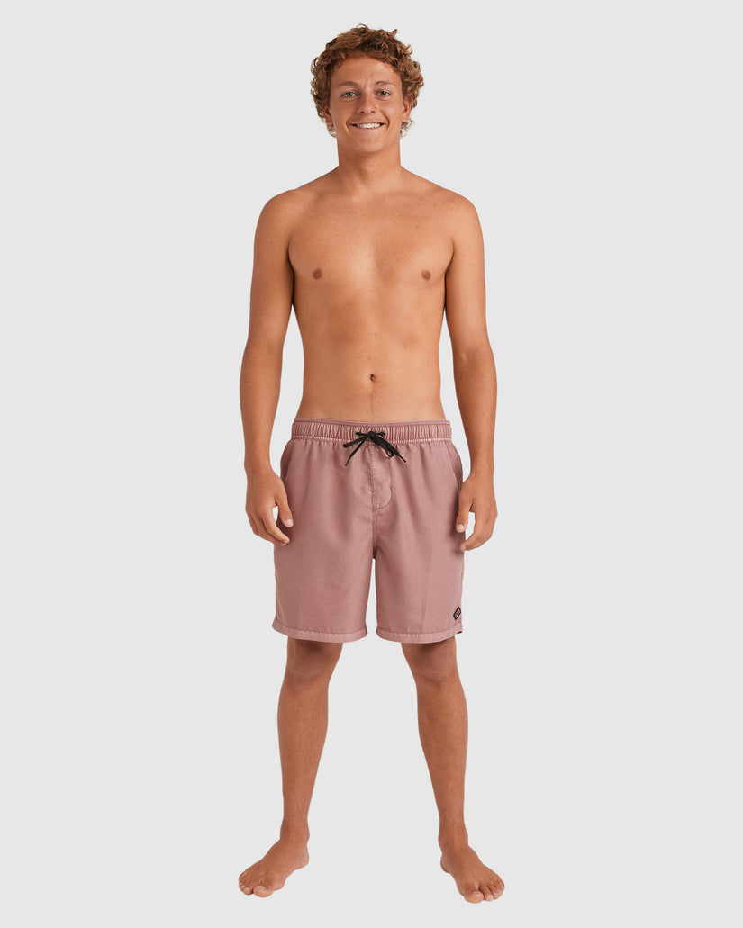 Mens All Day Overdye Layback 17" Boardshorts