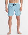 Mens All Day Overdye Layback Boardshorts