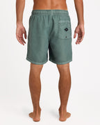 Mens All Day Overdyed Layback 17" Boardshorts