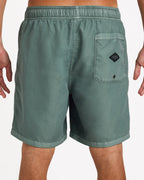 Mens All Day Overdyed Layback 17" Boardshorts