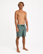 Mens All Day Overdyed Layback 17" Boardshorts