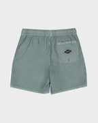 Mens All Day Overdye Layback 17" Boardshorts
