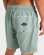 Mens All Day Overdye Layback 17" Boardshorts