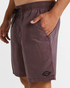 Mens All Day Overdyed Layback 17" Boardshorts