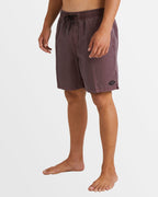 Mens All Day Overdyed Layback 17" Boardshorts