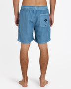 abybs00134_billabong_s28_bck1