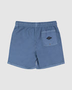 Mens All Day Overdye Layback 17" Boardshorts