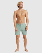 Mens D Bah Lo Tide 18" Boardshorts